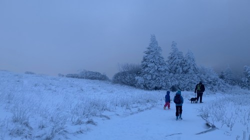 Two children and a dog walk along a snowy path, surrounded by frosted trees under a gray sky.