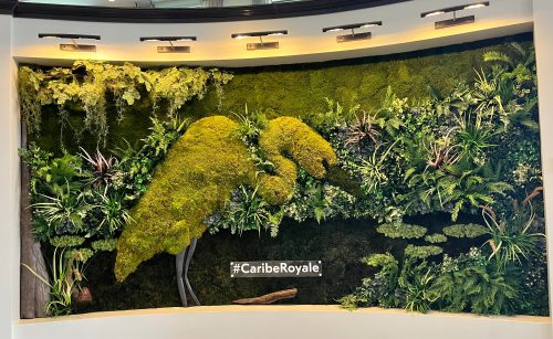 A lush green wall featuring various plants and moss, shaped like a bird, with a "#CaribeRoyale" sign below.