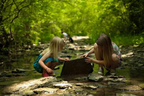 Two children play in a shallow stream, examining a rock, surrounded by lush greenery and sunlight filtering through trees.