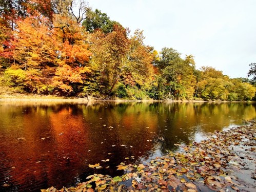 A serene river scene with colorful autumn trees reflecting in the water, surrounded by fallen leaves.