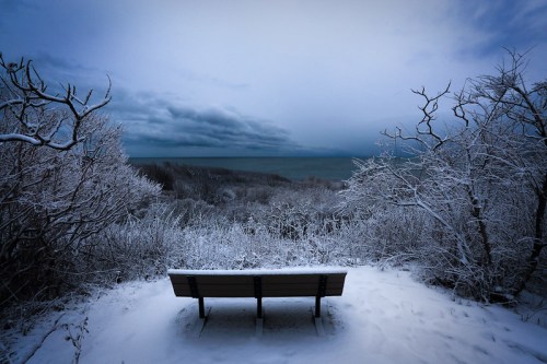 A snow-covered bench overlooks a serene, icy landscape with trees and a cloudy sky above.