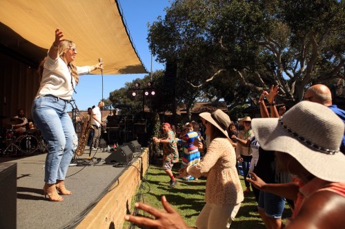 A lively outdoor concert scene with a performer on stage and an enthusiastic crowd dancing and enjoying the music.