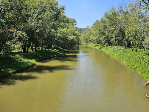 A serene river flows through lush greenery under a clear blue sky, surrounded by trees and gentle hills.