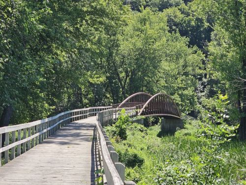 A wooden walkway leads to a curved bridge surrounded by lush green trees and foliage.