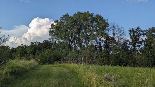 A grassy path leads through lush greenery under a blue sky with fluffy white clouds in the background.