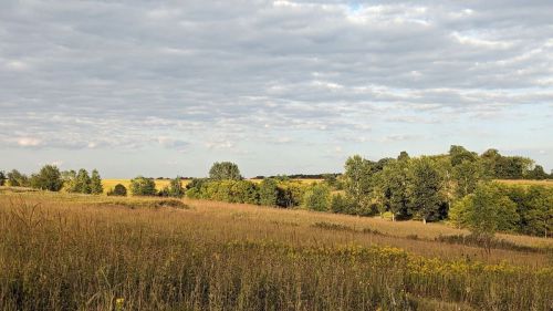 A serene landscape featuring grassy fields, scattered trees, and a cloudy sky.