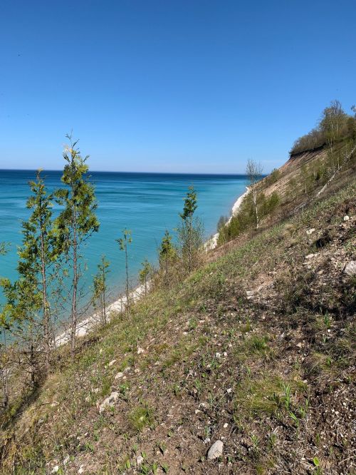 A serene view of a sloping shoreline with clear blue water and a bright sky, surrounded by greenery.