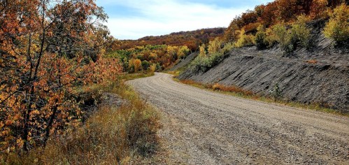 A winding gravel road surrounded by vibrant autumn foliage and rolling hills under a clear blue sky.