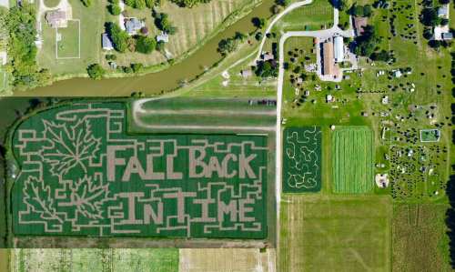 Aerial view of a corn maze shaped like leaves, featuring the words "FALL BACK IN TIME," surrounded by fields and a river.