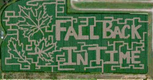 Aerial view of a corn maze featuring the words "FALL BACK IN TIME" and leaf designs carved into the greenery.
