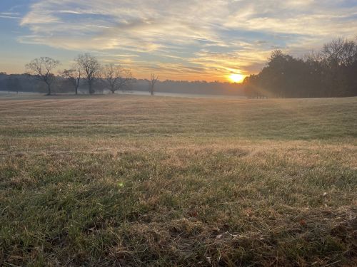 A serene landscape at sunrise, featuring a misty field and silhouetted trees against a colorful sky.