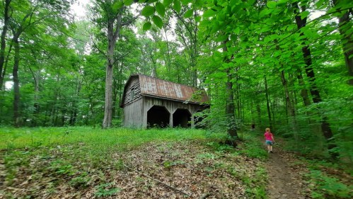 A child walks along a path towards a rustic barn surrounded by lush green trees and foliage.