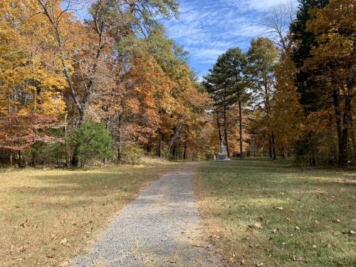 A gravel path winds through a forest of autumn trees with vibrant orange and yellow leaves under a blue sky.