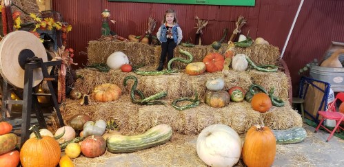 A child sits on a haystack surrounded by various pumpkins and gourds in a festive autumn setting.
