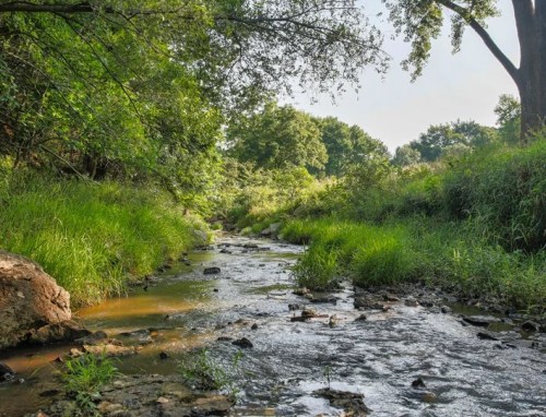 A serene stream flows through a lush green landscape, surrounded by trees and rocky banks under a clear sky.