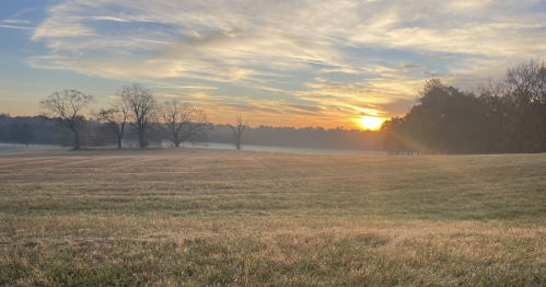 A serene landscape at sunrise, featuring a misty field, trees, and a colorful sky with soft clouds.