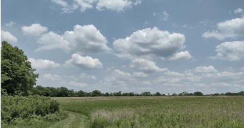 A serene landscape featuring a grassy field under a blue sky with fluffy clouds and trees in the background.