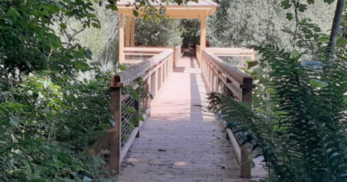 A wooden bridge leads to a gazebo, surrounded by lush greenery and trees.