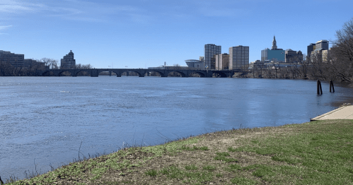 A river view with a bridge and city skyline in the background under a clear blue sky. Green grass in the foreground.