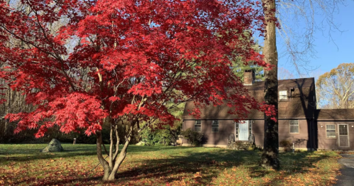 A cozy house surrounded by vibrant red autumn foliage and trees, with a clear blue sky in the background.