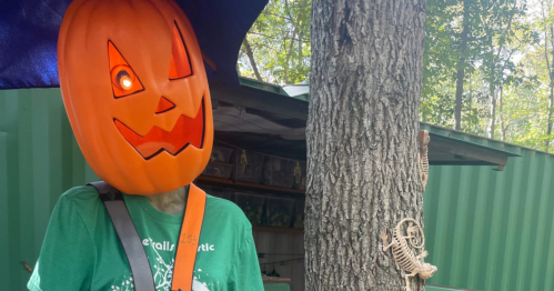 A person wearing a pumpkin mask with a mischievous expression stands near a tree, holding an umbrella.