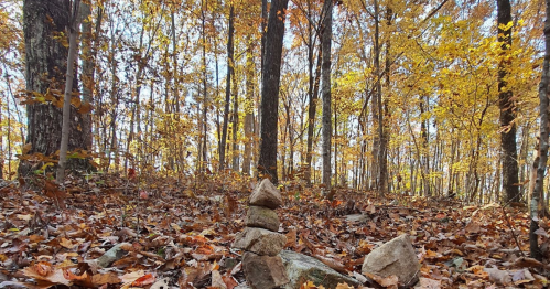 A small stack of rocks in a forest with autumn leaves and trees in vibrant fall colors.