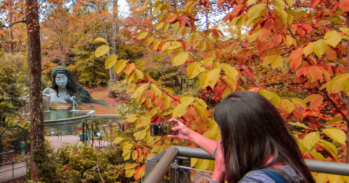 A person takes a photo of a large statue surrounded by vibrant autumn foliage in a park.