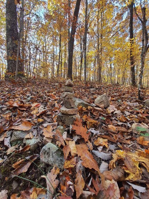 A small stone cairn surrounded by colorful autumn leaves in a forest setting.