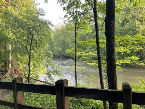 A serene river flows through a lush green forest, framed by trees and a wooden fence in the foreground.