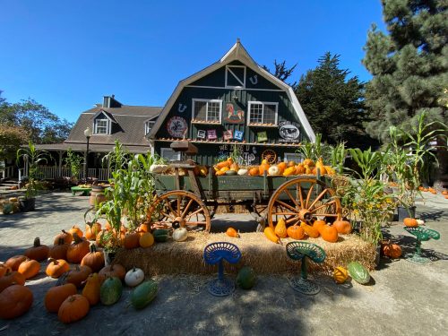 A rustic barn surrounded by pumpkins and hay bales, with a wagon filled with pumpkins in the foreground.