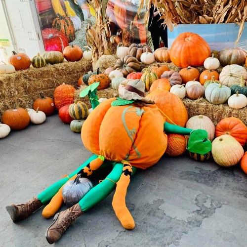 A person dressed as a pumpkin sits among various pumpkins and gourds in a festive autumn setting.