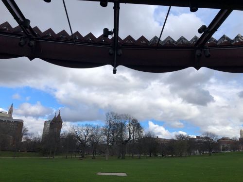 View of a park with green grass and trees, framed by a pavilion roof, under a cloudy sky.