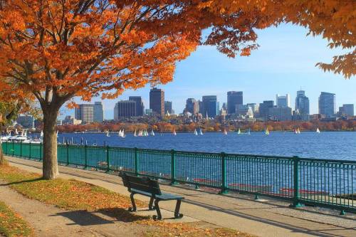 A scenic view of a city skyline across a river, framed by vibrant autumn trees and a park bench along the shore.