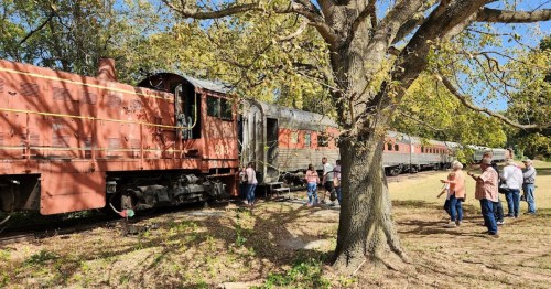 A vintage train parked near a tree, with a group of people exploring the area around it on a sunny day.