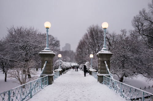 A snowy park pathway lined with trees and lampposts, leading into a winter landscape under a gray sky.
