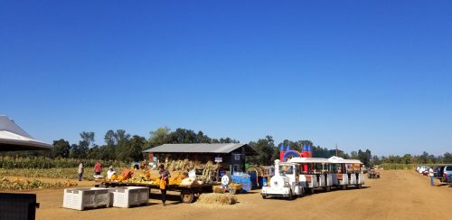 A sunny farm scene with a train ride, pumpkins, and a market stand against a clear blue sky.