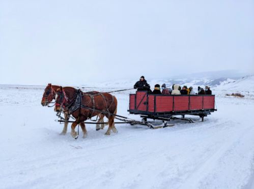 A horse-drawn sled carries passengers through a snowy landscape. Snow-covered hills are visible in the background.