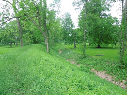 Lush green landscape with trees and a small creek running through a grassy area.