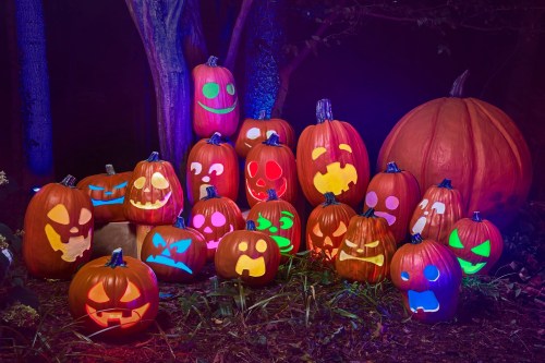 A collection of carved pumpkins with colorful glowing faces, set in a dark, wooded area for Halloween.