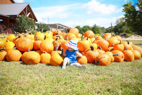 A child in a blue shirt and colorful hat sits among a large pile of bright orange pumpkins on a sunny day.
