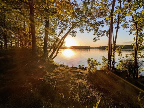 Sunset over a calm lake, framed by trees and lush greenery, with warm sunlight streaming through the branches.