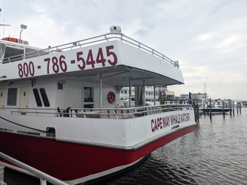 A boat docked at a marina, featuring a sign for Cape May Whale Watcher and a contact number.