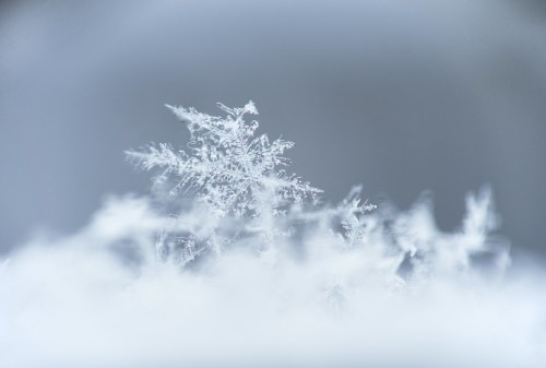 Close-up of a delicate snowflake resting on a soft layer of snow, showcasing intricate ice crystal patterns.