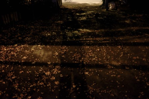 A dimly lit pathway covered in fallen leaves, with shadows cast by nearby trees and structures.