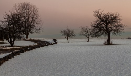 A serene winter landscape with snow-covered ground, a winding path, and bare trees against a soft pastel sky.