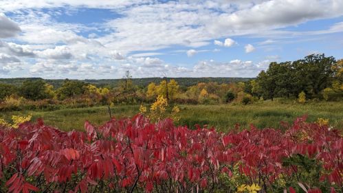 A vibrant landscape featuring red foliage in the foreground, with green fields and trees under a partly cloudy sky.