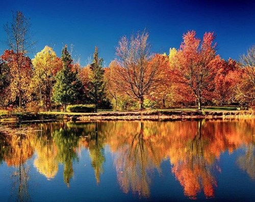 A serene lake reflecting vibrant autumn trees under a clear blue sky.