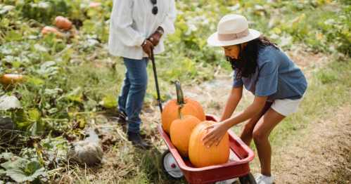 A woman and a child in a red wagon filled with pumpkins in a pumpkin patch.