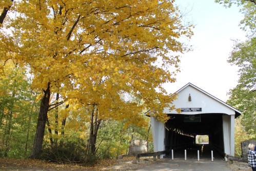 A covered bridge surrounded by vibrant autumn foliage and trees with yellow leaves.