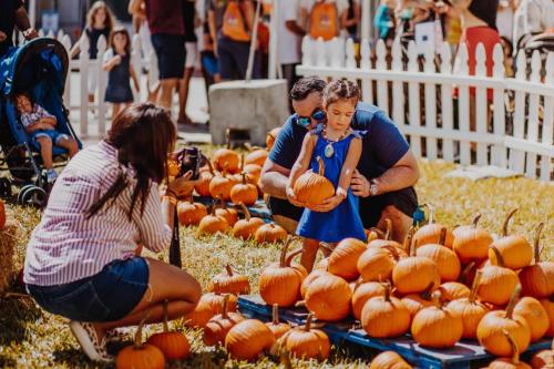 A child in a blue dress holds a pumpkin while an adult assists her, surrounded by pumpkins and people in a festive setting.